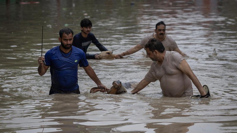 Anggota Pasukan Tanggap Bencana Nasional (NDRF) mengevakuasi penduduk yang terdampar dari lokasi banjir, setelah kenaikan permukaan air sungai Yamuna, di New Delhi, India, 13 Juli 2023. (REUTERS/Adnan Abidi)