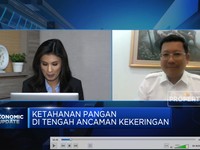 Cara Bapanas Amankan Harga Ayam Cs Saat Kekeringan Mengancam