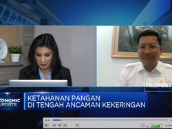 Cara Bapanas Amankan Harga Ayam Cs Saat Kekeringan Mengancam