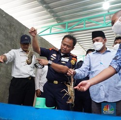 'Harta Karun' RI Ini Marak Diselundupkan, Singapura Penadah