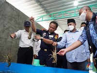 'Harta Karun' RI Ini Marak Diselundupkan, Singapura Penadah