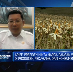 Harga Daging Ayam Rp50.000/ Kg, Bos Badan Pangan: Masih Wajar
