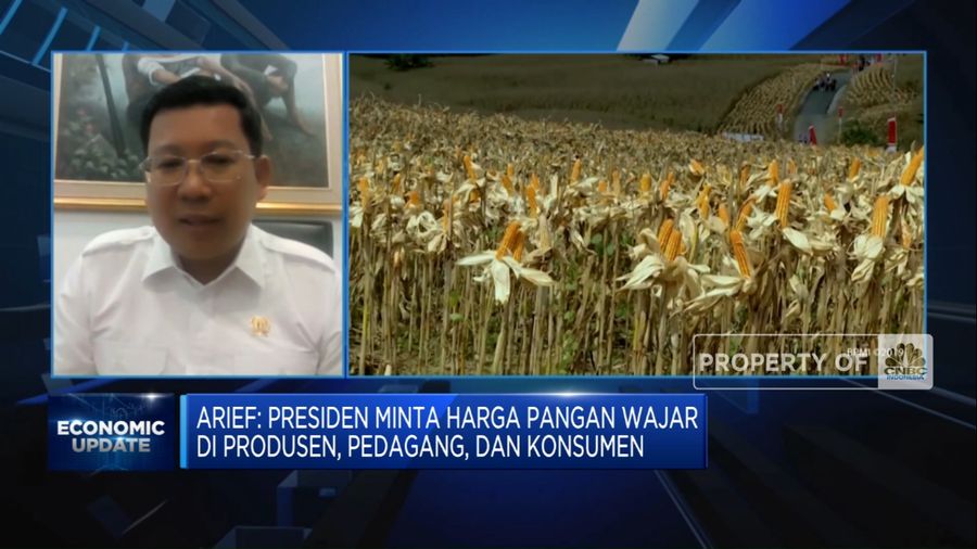 Masih Impor, Target RI Swasembada Gula Hingga Jagung Realistis? (CNBC Indonesia TV)