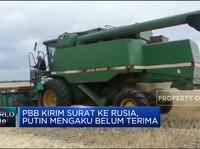 Putin Ogah Perpanjang Perjanjian Biji-Bijian Laut Hitam