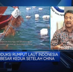 Saingi China, KKP Kebut Hilirisasi 