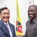 Luhut 'Jualan' Investasi Geothermal di Kenya, Nilai US$2,5 M