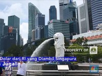 Tak Hanya Dolar dari RI yang Diambil Singapura, SDM-nya Juga!