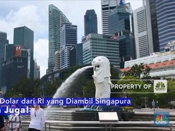 Tak Hanya Dolar dari RI yang Diambil Singapura, SDM-nya Juga!