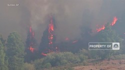 Kebakaran Hutan di Spanyol, 500 Orang Dievakuasi