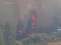 Kebakaran Hutan di Spanyol, 500 Orang Dievakuasi