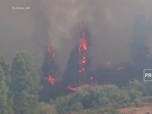 Kebakaran Hutan di Spanyol, 500 Orang Dievakuasi