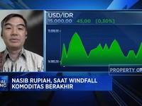 Harga Batu Bara Hingga Sawit Melemah, Nasib Rupiah Gimana?