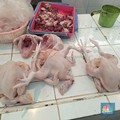 Bos Peternak Ungkap Biang Kerok Harga Telur-Daging Ayam Naik