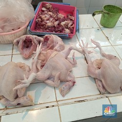 Broker Bikin Kerok Harga Ayam Ngamuk, Kemendag Belum Ada Tindakan