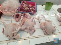 Bos Peternak Ungkap Biang Kerok Harga Telur-Daging Ayam Naik