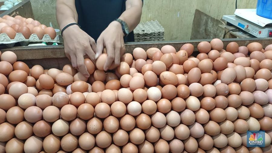 Harga telur ayam di sejumlah daerah masih mengalami tren kenaikan. Panel harga badan pangan mencatat, harga telur ayam hari ini, Kamis (17/7/2023) berada di angka Rp 30.780 per kilogram (kg). (վ/Martyasari Rizky)