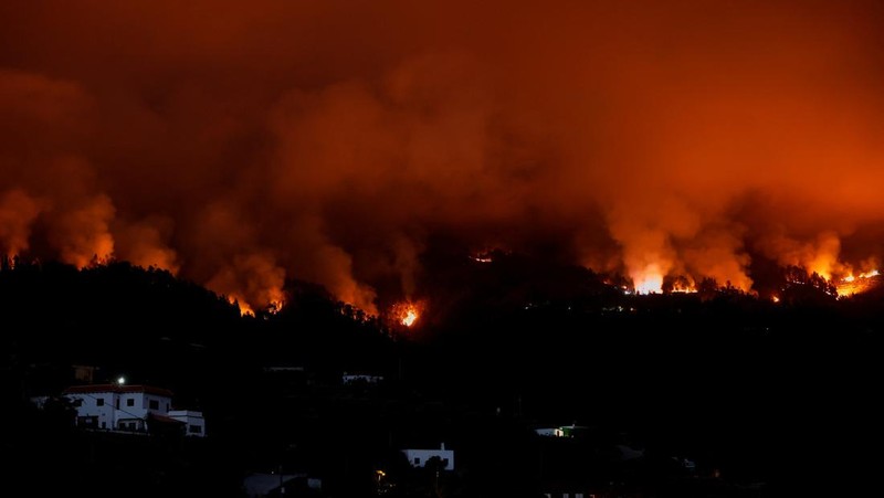 Petugas pemadam kebakaran hutan EIRIF bekerja selama pemadaman kebakaran Tijarafe di Pulau Canary La Palma, Spanyol 16 Juli 2023. (REUTERS/Borja Suarez)