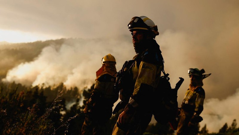 Petugas pemadam kebakaran hutan EIRIF bekerja selama pemadaman kebakaran Tijarafe di Pulau Canary La Palma, Spanyol 16 Juli 2023. (REUTERS/Borja Suarez)