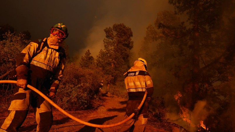 Petugas pemadam kebakaran hutan EIRIF bekerja selama pemadaman kebakaran Tijarafe di Pulau Canary La Palma, Spanyol 16 Juli 2023. (REUTERS/Borja Suarez)