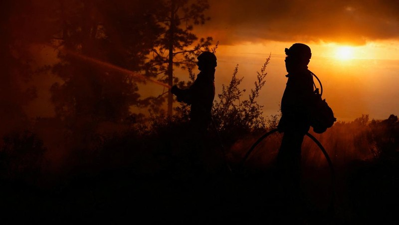 Petugas pemadam kebakaran hutan EIRIF bekerja selama pemadaman kebakaran Tijarafe di Pulau Canary La Palma, Spanyol 16 Juli 2023. (REUTERS/Borja Suarez)