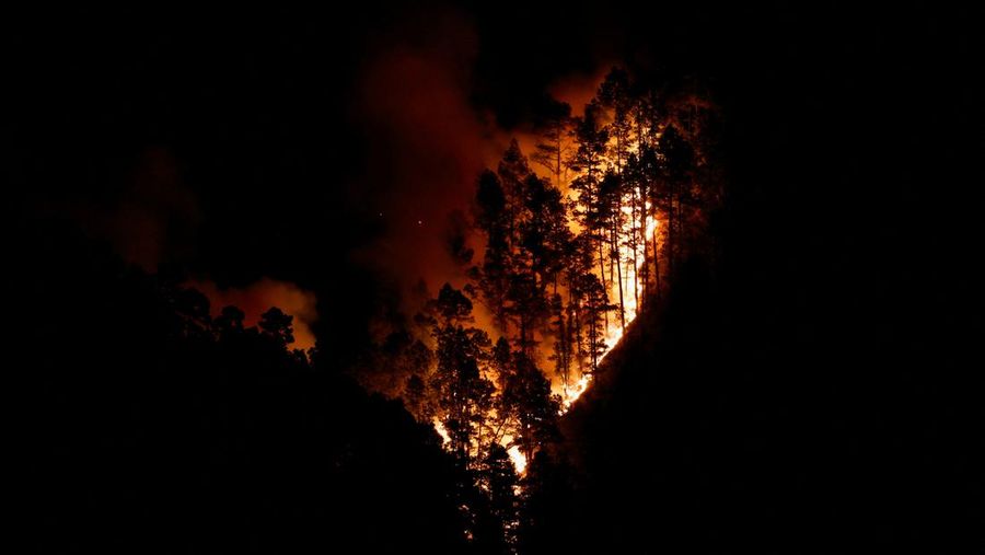 Petugas pemadam kebakaran hutan EIRIF bekerja selama pemadaman kebakaran Tijarafe di Pulau Canary La Palma, Spanyol 16 Juli 2023. (REUTERS/Borja Suarez)