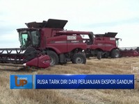 Rusia Tarik Diri Dari Perjanjian Ekspor Gandum