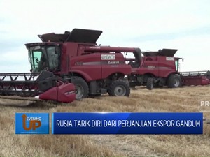 Rusia Tarik Diri Dari Perjanjian Ekspor Gandum