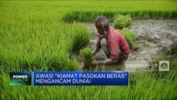 Video: Awas! 