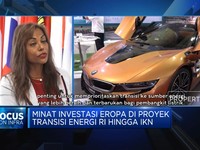 Dukung RI Transisi Energi, Ini Pesan Bank Investasi Eropa