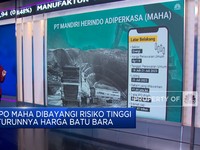 IPO MAHA Dibayangi Turunnya Harga Batu Bara, Layak Dinanti?
