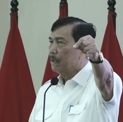 Tom Lembong Ucap Tesla Buatan China Gak Pakai Nikel? Luhut Blak-blakan