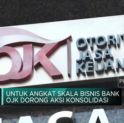 OJK: Bank BUMN & Swasta Perlu Bantu Konsolidasi BPD Lewat KUB