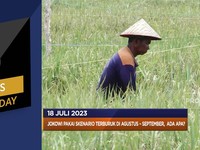 Skenario Terburuk Jokowi Ada Apa? Hingga Harga Gandum Naik