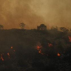 Ngeri! Ilmuwan NASA Beri Bocoran Malapetaka di Bulan Juli