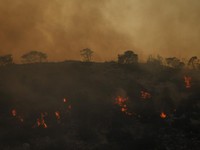 Dunia Makin Panas! Suhu di Berbagai Negara Ini Mendidih