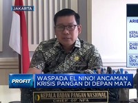 Waspada Kemarau Panjang, Stok Beras Pemerintah Cukup Gak Nih?