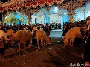 Tedjowulan-LDA Siap Duduk Bareng Pihak PB XIV Purbaya Bahas Kirab 1 Suro