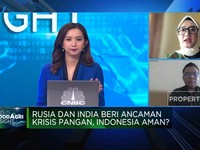India Setop Ekspor Hingga El Nino, Pasokan Beras RI Terancam?