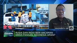 Pasokan Gandum Sampai Beras Impor Terancam! RI Kudu Gimana?