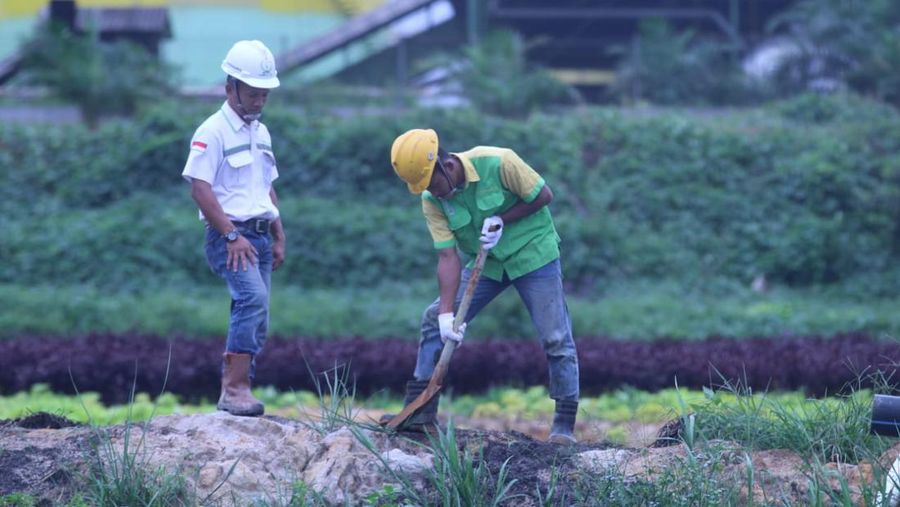 Pekerja tengah memperbaiki saluran pembuangan limbah cair dari Pabrik Kelapa Sawit milik PT Menthobi Makmur Lestari di Kabupaten Lamandau, Kalimantan Tengah.