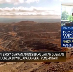 Pembangunan Smelter Berjalan 