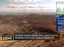 Pembangunan Smelter Berjalan "Lambat", Hiliriasi Terhambat?