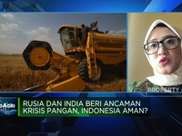 Rusia & India Beri Ancaman Krisis Pangan, Indonesia Aman?