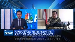 Tim Jokowi Bersatu Genjot Produksi Beras Hadapi El Nino