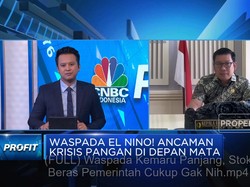 Tim Jokowi Bersatu Genjot Produksi Beras Hadapi El Nino