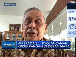Gak Cuma Air, Ini Yang "Ganggu" Produksi Beras Saat El Nino
