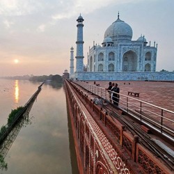 Putin Minggir! 'Kiamat' Beras Ancam Bumi, India Biang Kerok