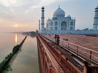 Putin Minggir! 'Kiamat' Beras Ancam Bumi, India Biang Kerok