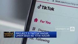 Project S Tiktok Hadir, UMKM Bisa Ke Titik Nadir