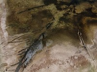 Bukti Nyata Bumi Tersiksa, Terlihat dari Sungai Tertua